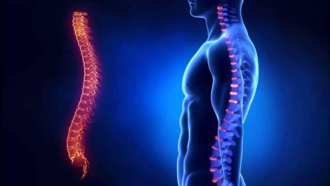 Az osteochondrosis osztályozása a gerinc azon részei szerint történik, amelyekben a betegség kialakul.